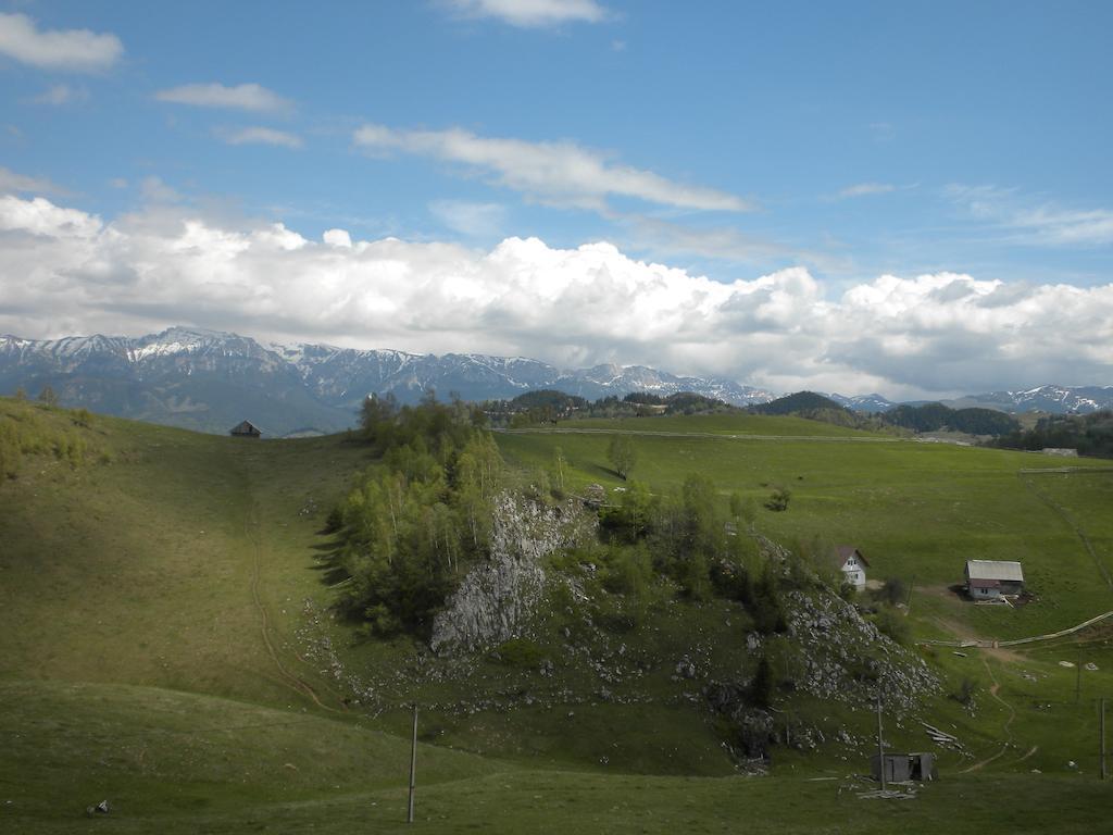 Pensiunea Crai Nou Sirnea Exterior photo