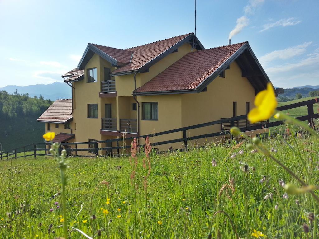 Pensiunea Crai Nou Sirnea Exterior photo